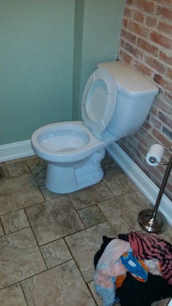 New toilet install