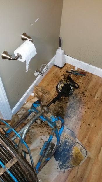 Pulled toilet snaked line and pulled roots out of line - toliet clog